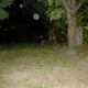 Image for article titled 10 Scientific Explanations for Famous Ghostly Phenomena